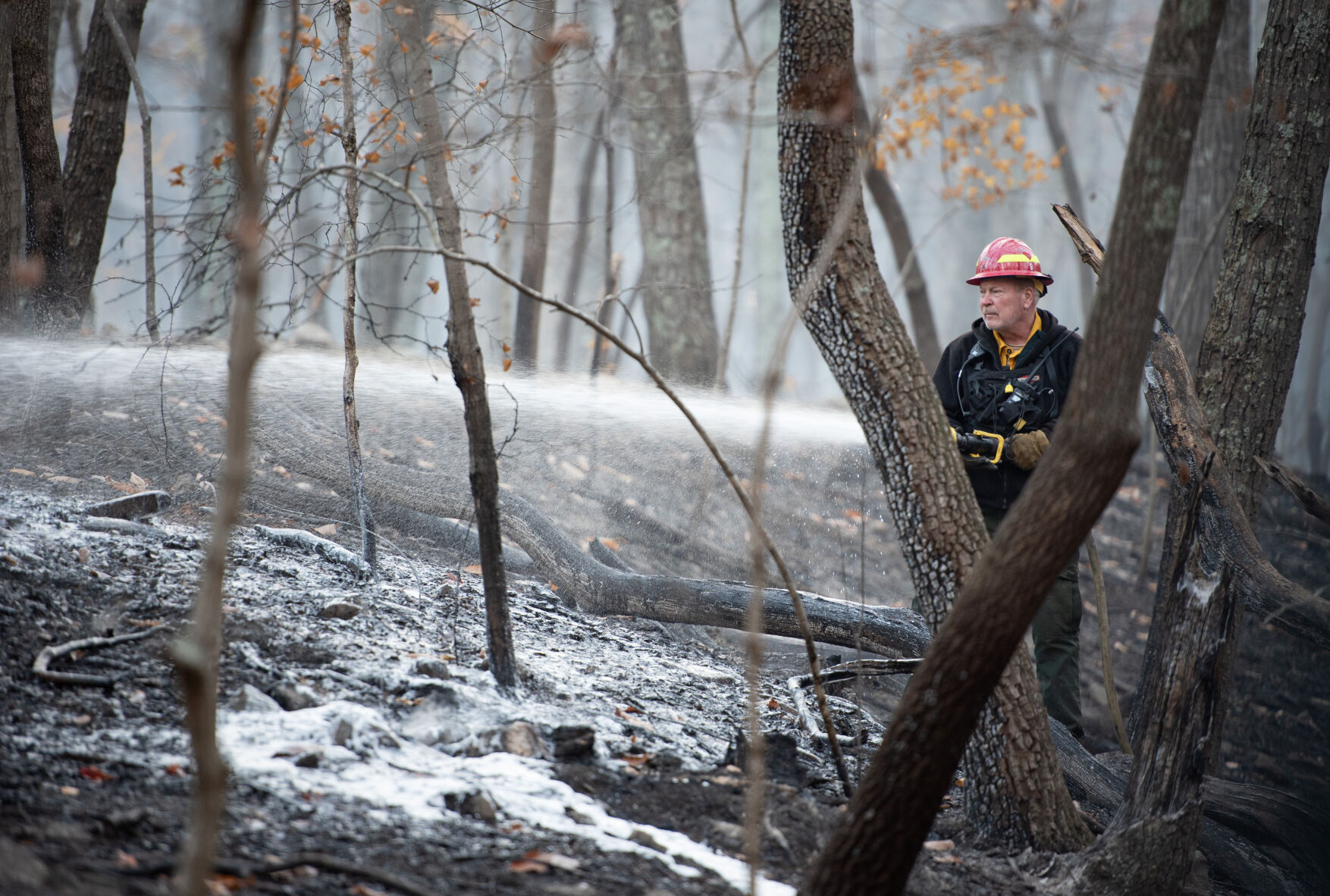 Pilot Mountain Fire Damage